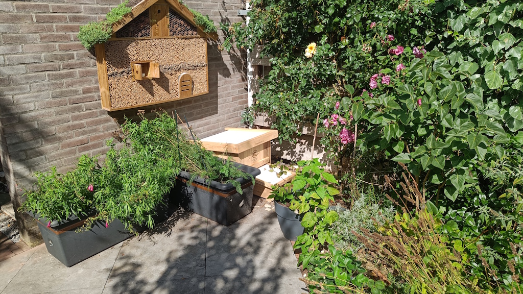 The outside of the hedgehog house